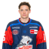 Nikolaus Heigl
