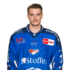 Stefan Loibl