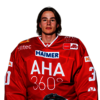 Niklas Grassinger