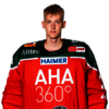 Konrad Fiedler