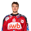 Fabian Herrmann