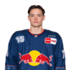 Nikolaus Heigl