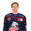 Maximilian Merkl