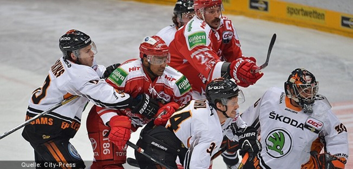 PENNY DEL - Grizzlies und Pinguine: Sekt oder Sommer