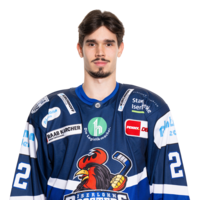 Daniel Neumann