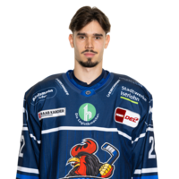 Daniel Neumann