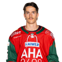 Christian Hanke