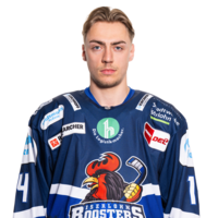 Noel Saffran