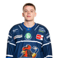 Daniel Geiger