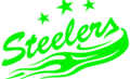 Bietigheim Steelers