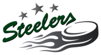 Bietigheim Steelers