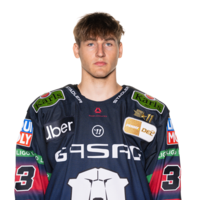 Matej Leden