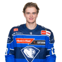 Dominik Zerhoch