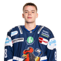 Daniel Geiger