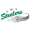 Bietigheim Steelers