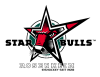 Starbulls Rosenheim