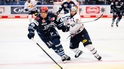 Schwenninger Wild Wings gg. EHC Red Bull München