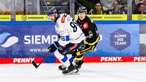 Krefeld Pinguine gg. ERC Ingolstadt