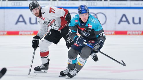 ERC Ingolstadt gg. Kölner Haie