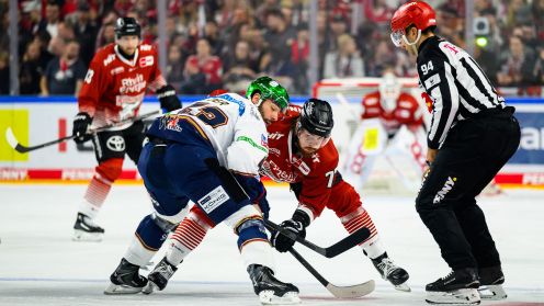 Kölner Haie gg. Eisbären Berlin