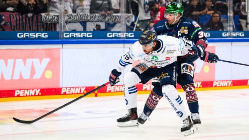 Eisbären Berlin gg. Iserlohn Roosters