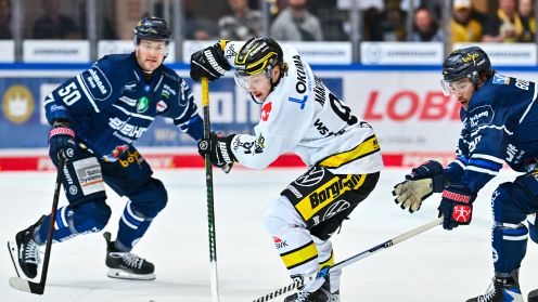 Iserlohn Roosters gg. Krefeld Pinguine