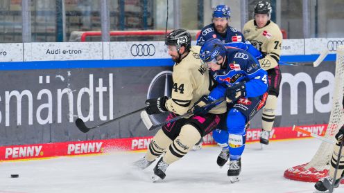 ERC Ingolstadt gg. Grizzlys Wolfsburg