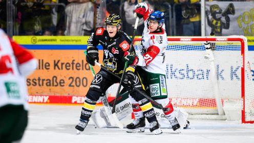 Krefeld Pinguine gg. Augsburger Panther