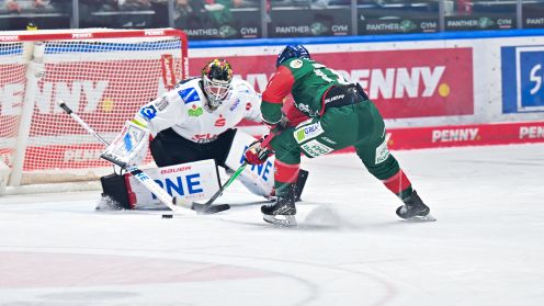 Augsburger Panther gg. Pinguins Bremerhaven