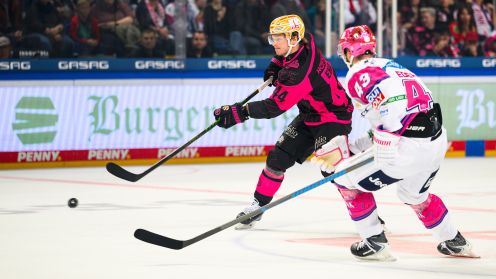 Eisbären Berlin gg. Nürnberg Ice Tigers