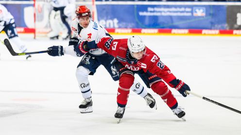 Adler Mannheim gg. Schwenninger Wild Wings