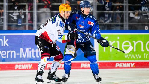 Straubing Tigers gg. Pinguins Bremerhaven
