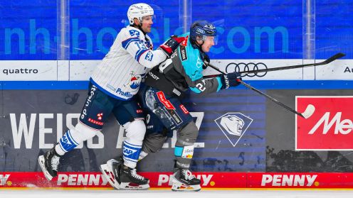 ERC Ingolstadt gg. Adler Mannheim