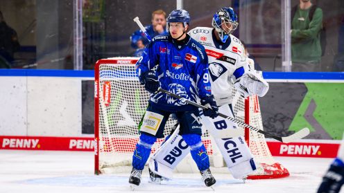 Straubing Tigers gg. ERC Ingolstadt