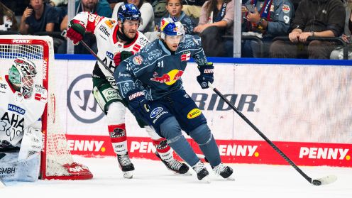 EHC Red Bull München gg. Augsburger Panther