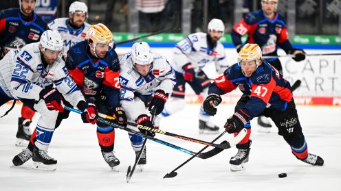 Nürnberg Ice Tigers gg. Adler Mannheim