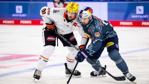 EHC Red Bull München gg. Löwen Frankfurt