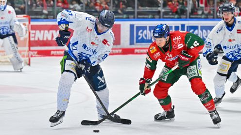 Augsburger Panther gg. Straubing Tigers