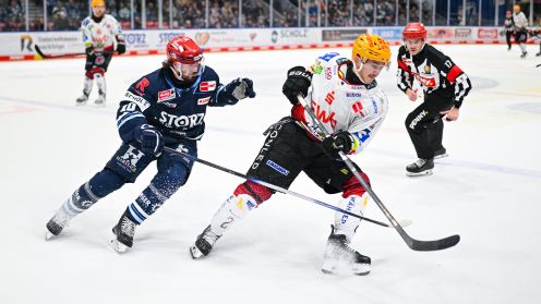 Schwenninger Wild Wings gg. Pinguins Bremerhaven
