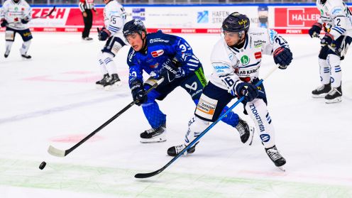 Straubing Tigers gg. Iserlohn Roosters