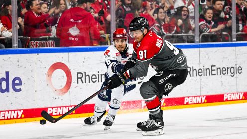 Kölner Haie gg. Schwenninger Wild Wings