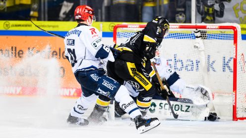 Krefeld Pinguine gg. Schwenninger Wild Wings
