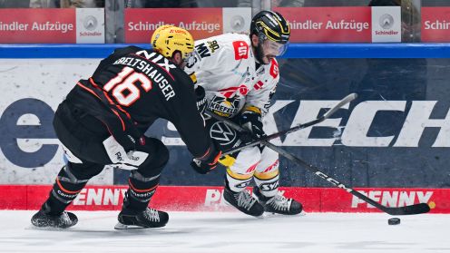 Löwen Frankfurt gg. Krefeld Pinguine