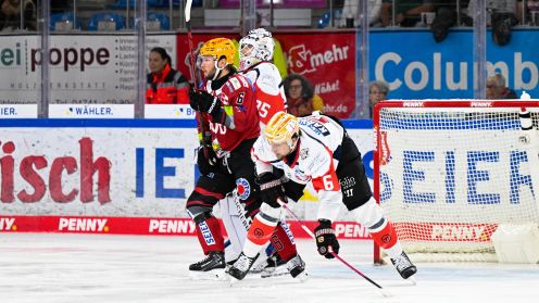 Pinguins Bremerhaven gg. Nürnberg Ice Tigers