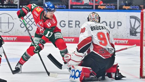 Augsburger Panther gg. Kölner Haie