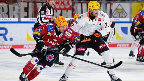 Pinguins Bremerhaven gg. Löwen Frankfurt