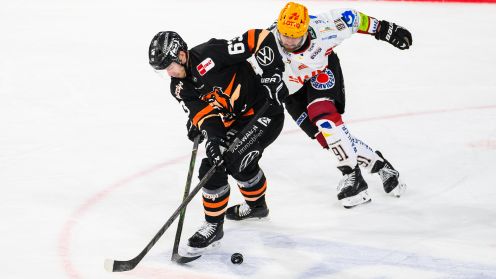 Grizzlys Wolfsburg gg. Pinguins Bremerhaven